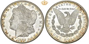 Dollar 1885 CC