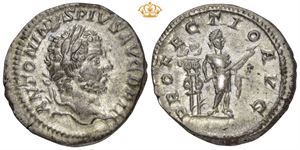 AR Denarius, AD 210-213