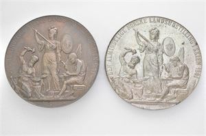Den almindelige norske Landsutstilling i Skien 1891. Lott 2 medaljer