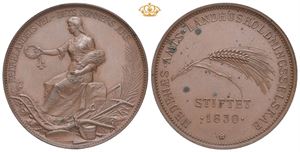 Nedenæs Amts Landhusholdningsselskab 1898. Bronse. 43 mm. Flekker/spots