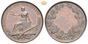 Mesterskap for Telefylket. Bronse 31 mm