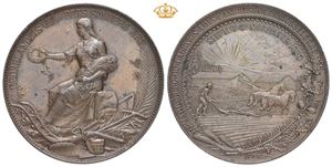 Jarlsberg og Laurvigs Amts Landhusholdningsselskab 1896. Bronse. 43 mm. Flekker