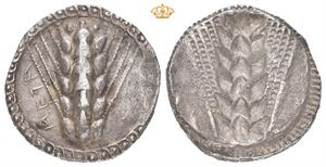 LUCANIA, Metapontum. Circa 510-470 BC. AR nomos (22,5 mm; 7,85 g)