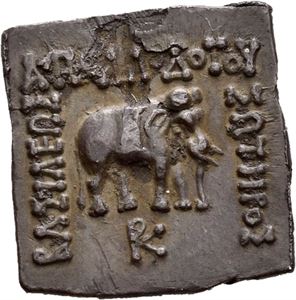 Baktria, Apollodotos I 160-150 f.Kr., firkantet drachme. Elefant stående mot høyre/Okse mot høyre