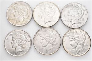 Lot 6 stk. Peace dollars