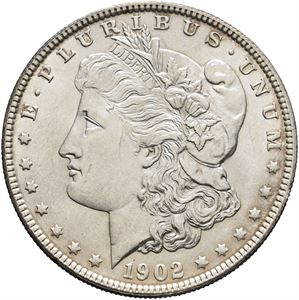 Morgan Dollar 1902