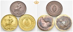 Det Kongelige Selskab For Norges Vel. Bronse og forgylt bronse