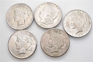 Lot 5 stk. dollarer 1921 (Morgan), 1922 D, 1922 S, 1923 og 1925