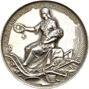 Det kongelige Selskap for Norges vel 1894. Sølv. 43 mm