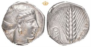 LUCANIA, Metapontum. Circa 400-340 BC. AR nomos (20 mm; 7,55 g)