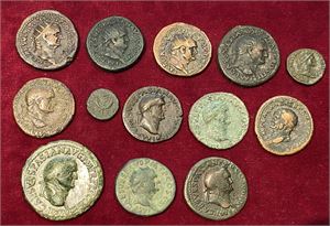 # 28. Lot of 13 Roman Imperial bronze coins of Vespasian (12) and Domitian (1).
