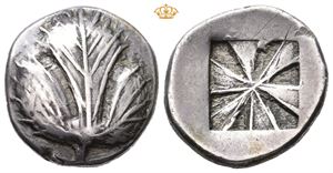 SICILY, Selinus. Circa 540-515 BC. AR didrachm (8,35 g)