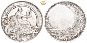 Hedemarkens Amts Landhusholdningsselskab 1894. Sølv. 50 mm. Renset/cleaned