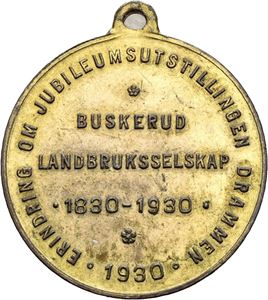 Buskerud Landbruksselskap. Jubileumsutstillingen Drammen 1930. Bronse med hempe. 27 mm