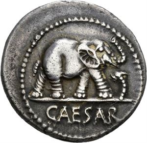 Julius Caesar d.44 f.Kr., denarius, Italia 49 f.Kr. Elefant gående mot høyre/Offerredskaper