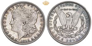 Dollar 1895