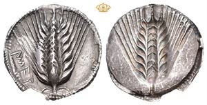 LUCANIA, Metapontum. Circa 540-510 BC. AR nomos (7,88 g)