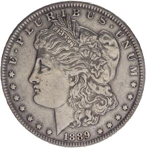 1 dollar 1889 påmontert nål