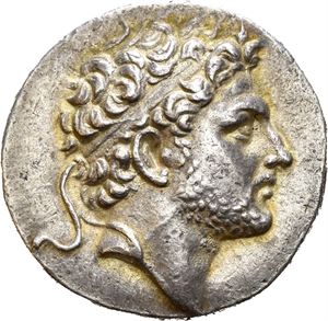 KINGS OF MACEDON, Perseus (179-168 BC). AR tetradrachm (16,74 g). Struck in Amphipolis or Pella circa 179-172 BC. Diademed and bearded head of Perseus to right / BASI?EOS ?EPSEOS, Eagle standing right on thunderbolt with spread wings; mintmaster's monogram above (ZO), ZO monogram to right, ?O monogram between legs; all within oak wreath; star below. Wonderful golden toning around devices.