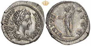 AR Denarius, AD 207