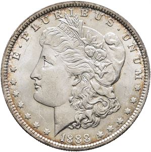 Morgan Dollar 1888