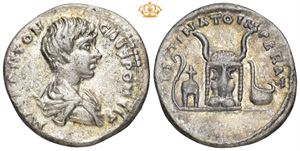AR Denarius, AD 197-198